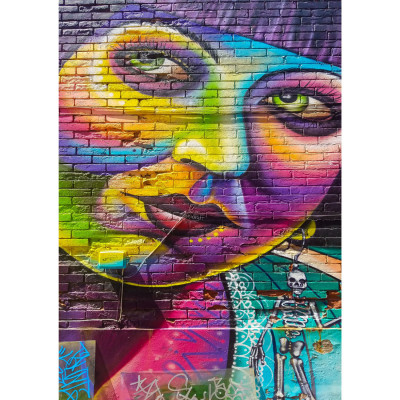 Quadro Decorativo Grafite Mulher Colorido