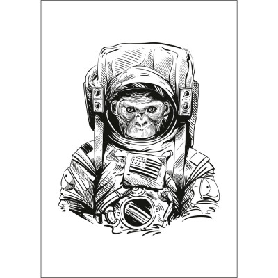 Quadro Decorativo Macaco Astronauta