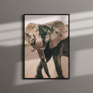Quadro Decorativo Fotografia Elefante África